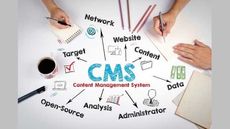 Enterprise-CMS-Necessary