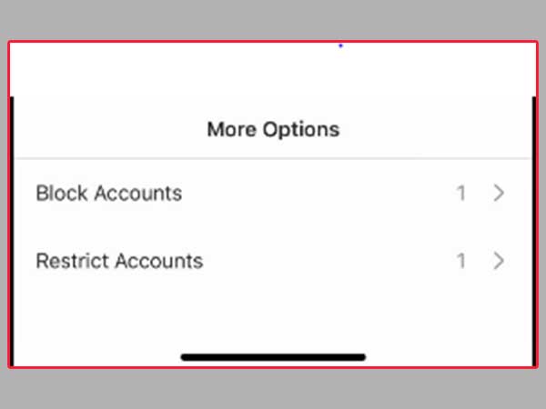 Tap More Options’ to block or restrict accounts in bulk.