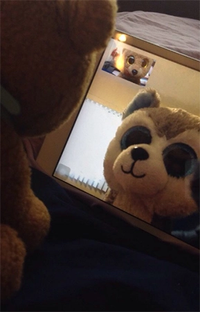 Bears on Facetime Tik Tok profile picture