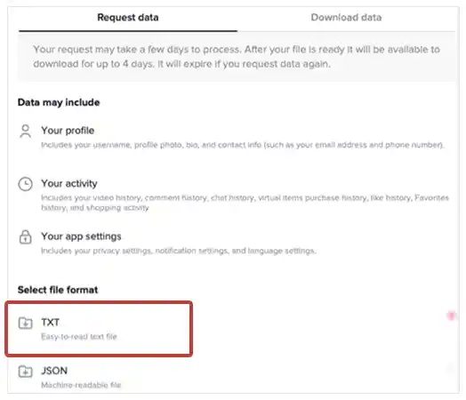 Confirm ‘Txt’ is selected within the “Select File Format” section.