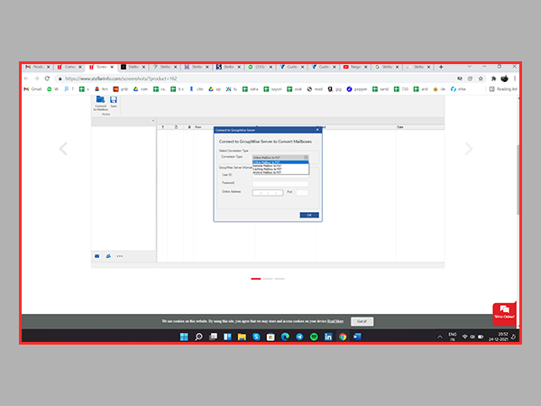 Figure 2: Stellar Converter For GroupWiseNow