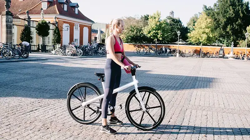 ebike