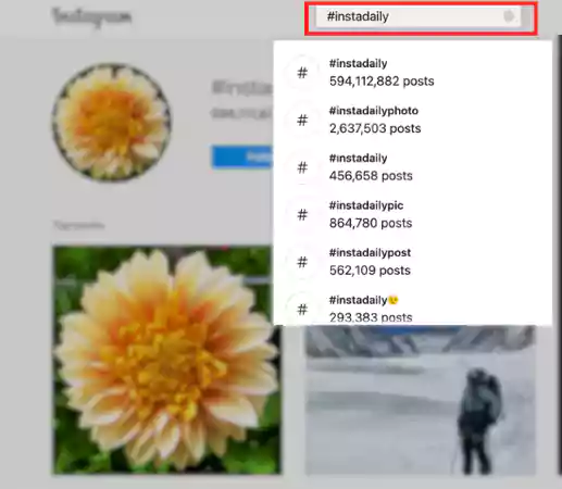 Enter popular hashtags