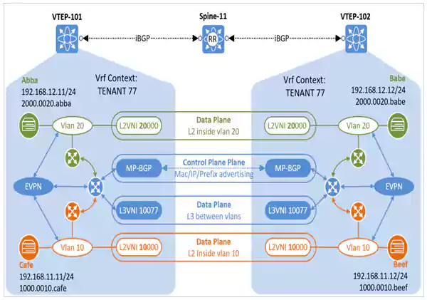 EVPN over VXLAN