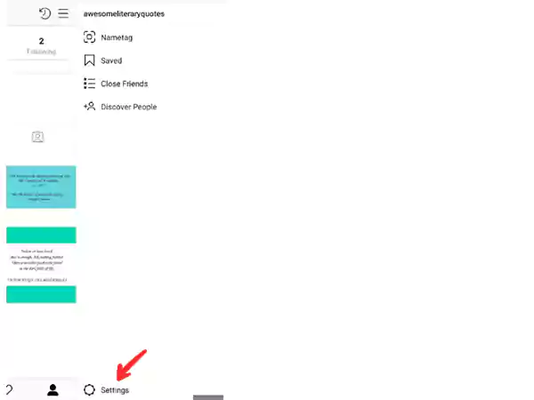 Instagram settings section