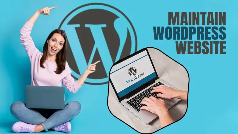 maintain word press website