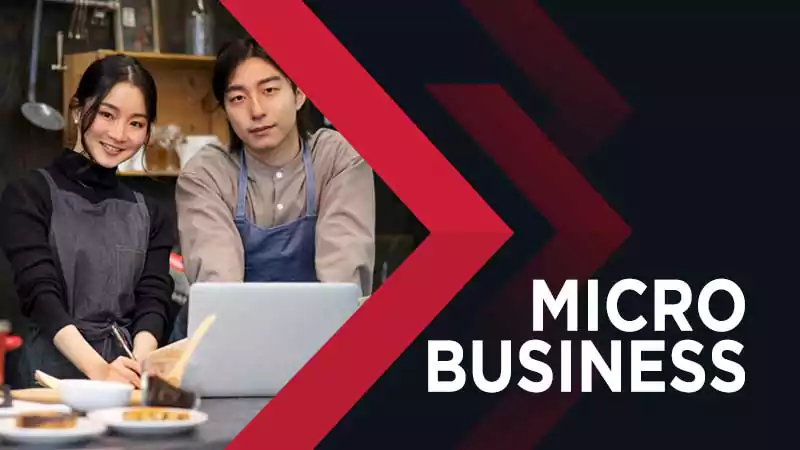 Micro Business