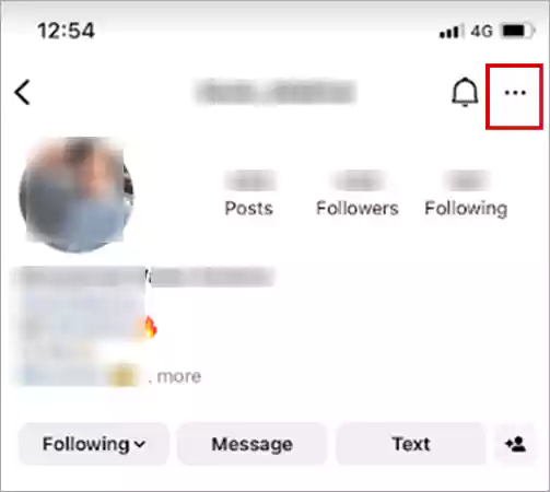 On the IG user profile tap on the three dots ellipsis