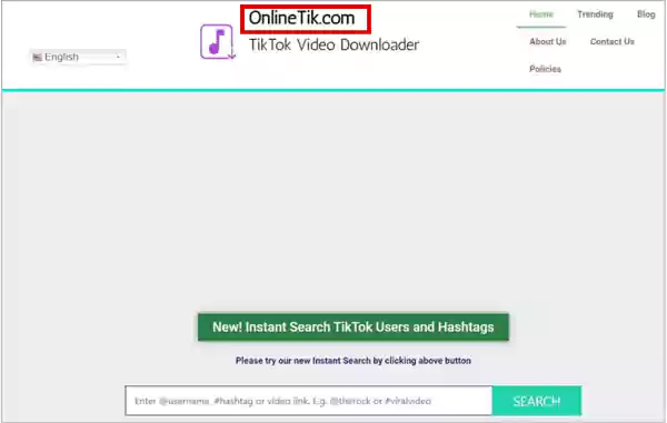 Onlinetik Website