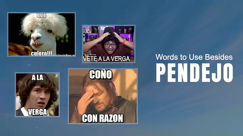 pendejo