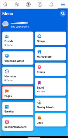 Select Pages option