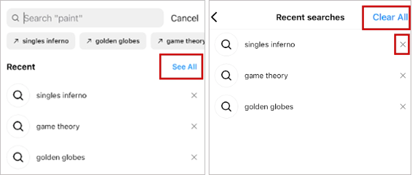 Tap on See All and select Clear All or tap the Cross icon for each query