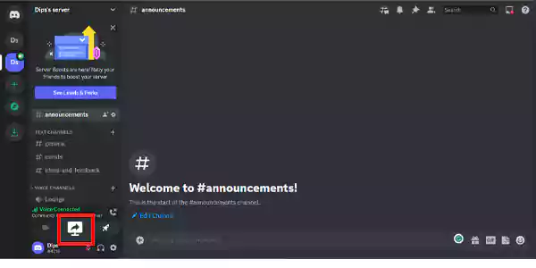 The Share the Screen Icon on Discord.