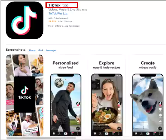 TikTok Website1