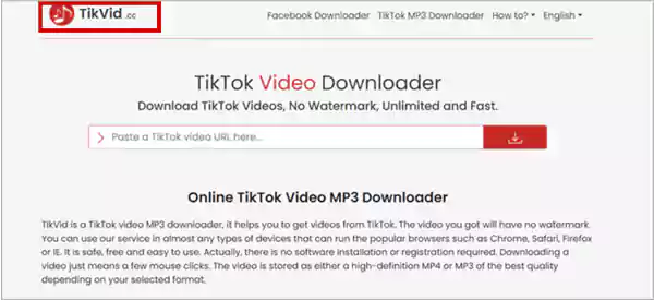 TikVid Website