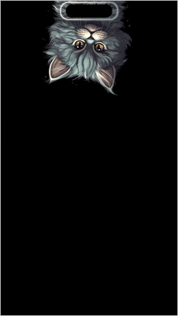 Upside down cat peeking dynamic wallpaper for iPhone