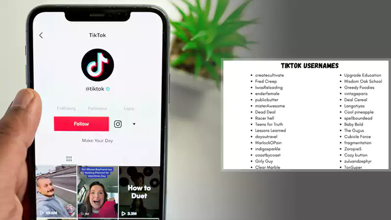 Username Ideas for Your TikTok Profile