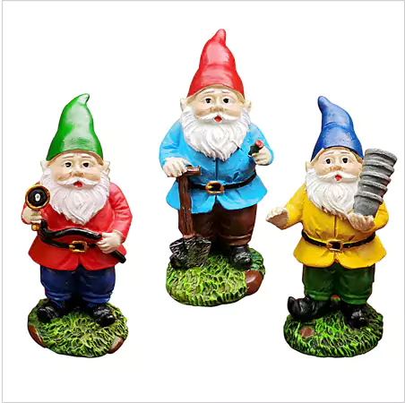 what are gnomes